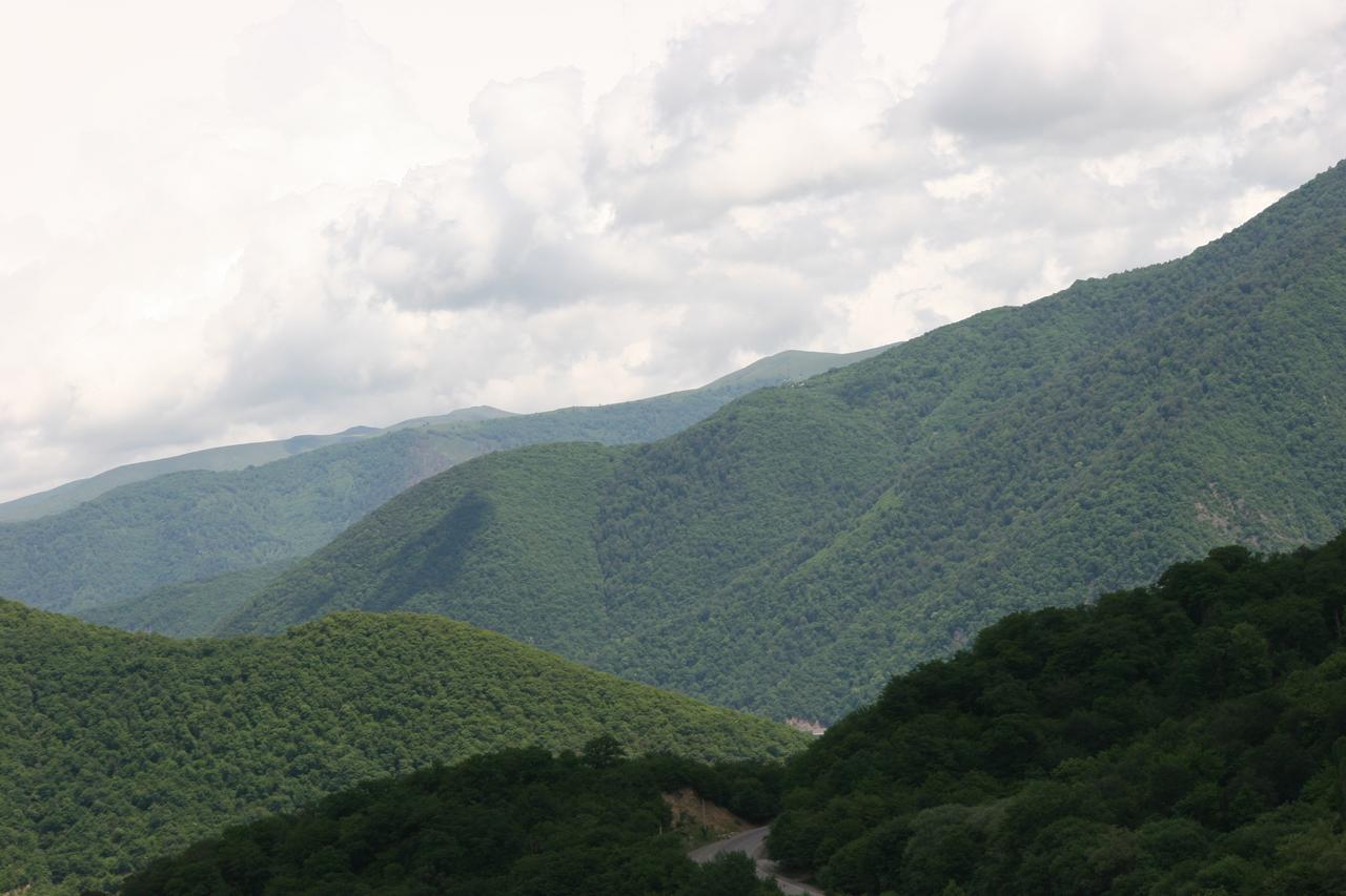 Ananuri Otel Dış mekan fotoğraf