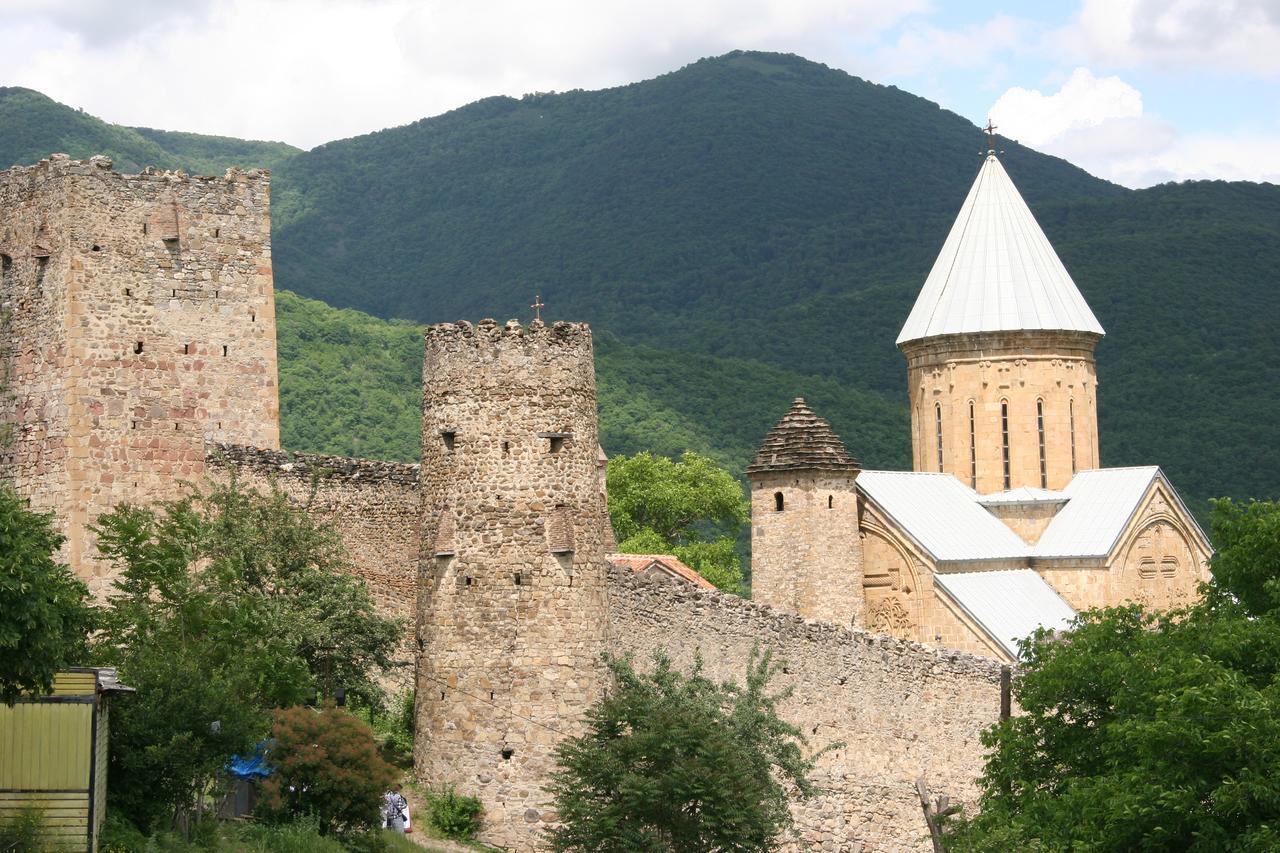 Ananuri Otel Dış mekan fotoğraf